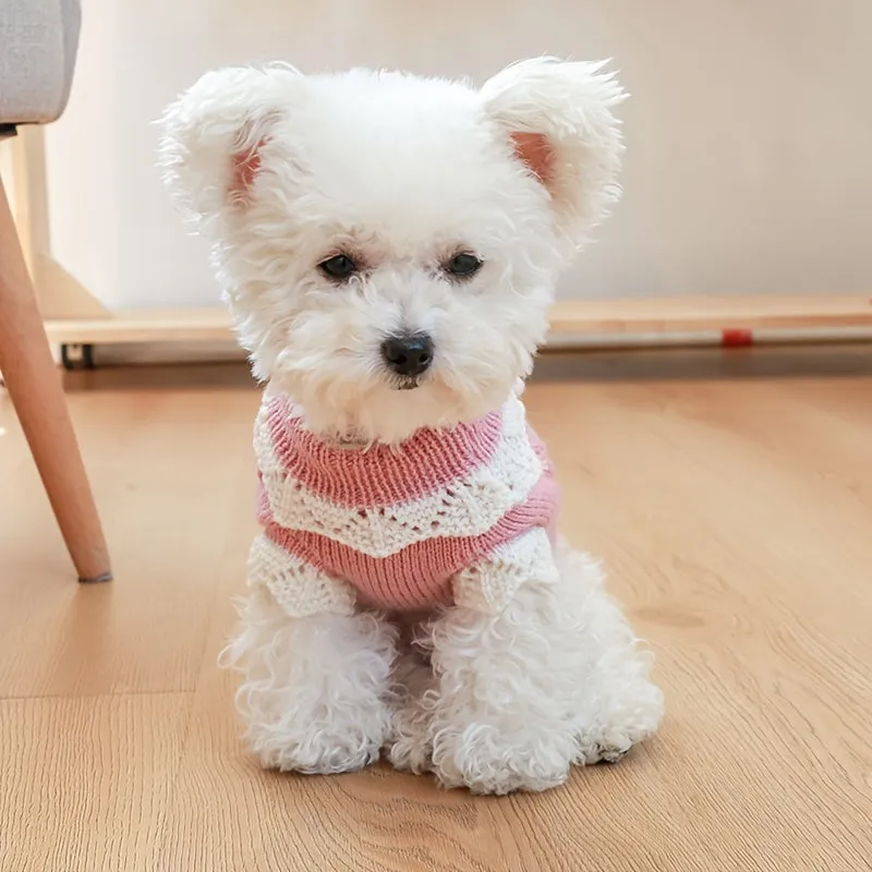 Cherry Knitwear Dog Sweater: Cozy Pullover Hoodies for Small to Medium Dogs | Shop the Latest Trends
