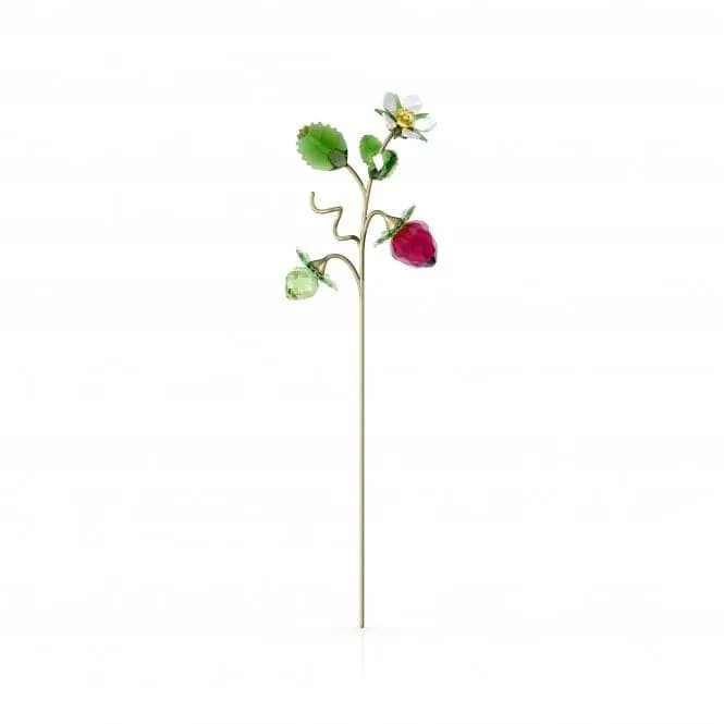 Garden Tales Wild Strawberry Crystal Ornament 5619232