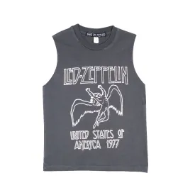 LITTLE MUSCLE | led zepplin
