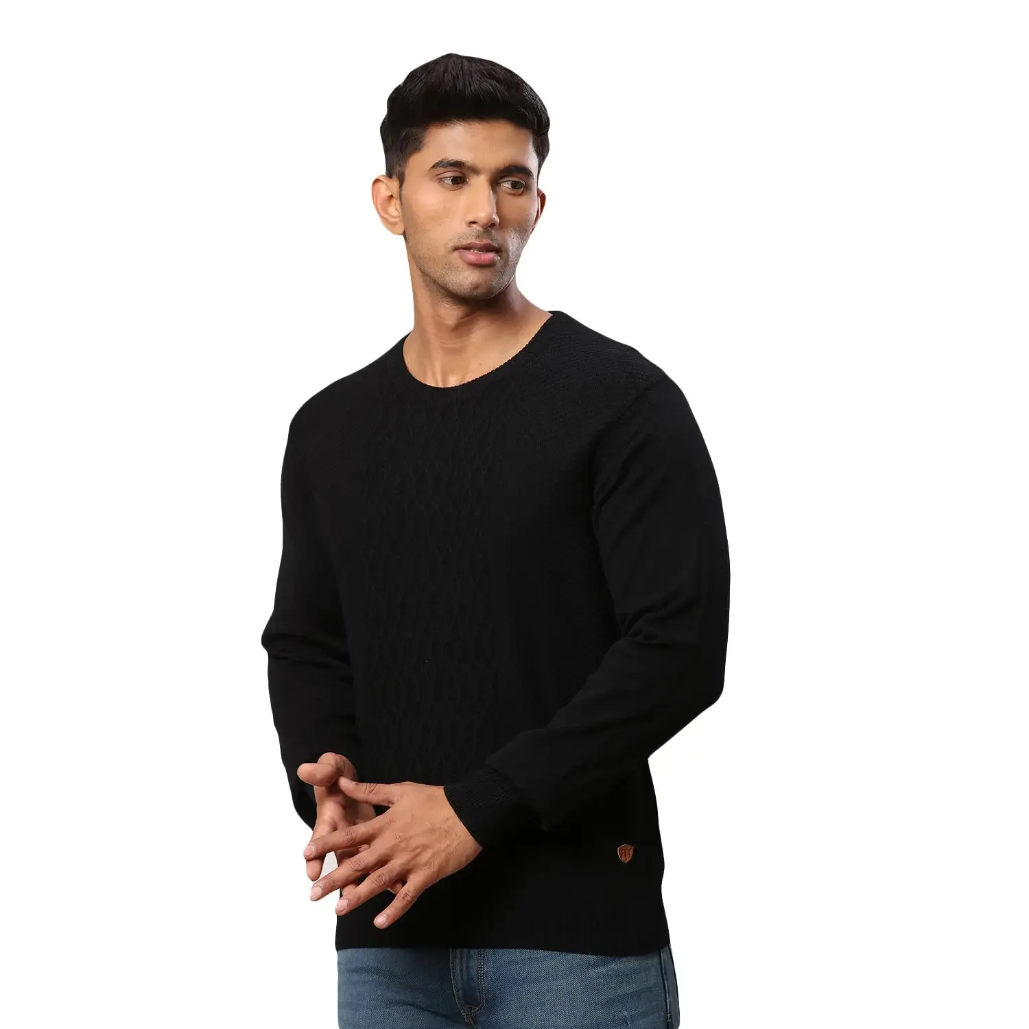 Men Black Structure Cable Acrylic Wool Blend Round Collar Sweaters