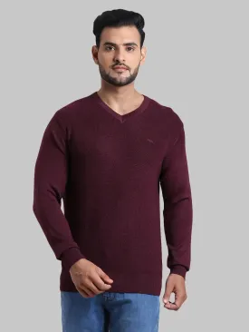 Men Maroon Tailored Fit Structure Acrylic Wool Blend Full Sleeve V Neck Collar Sweaters