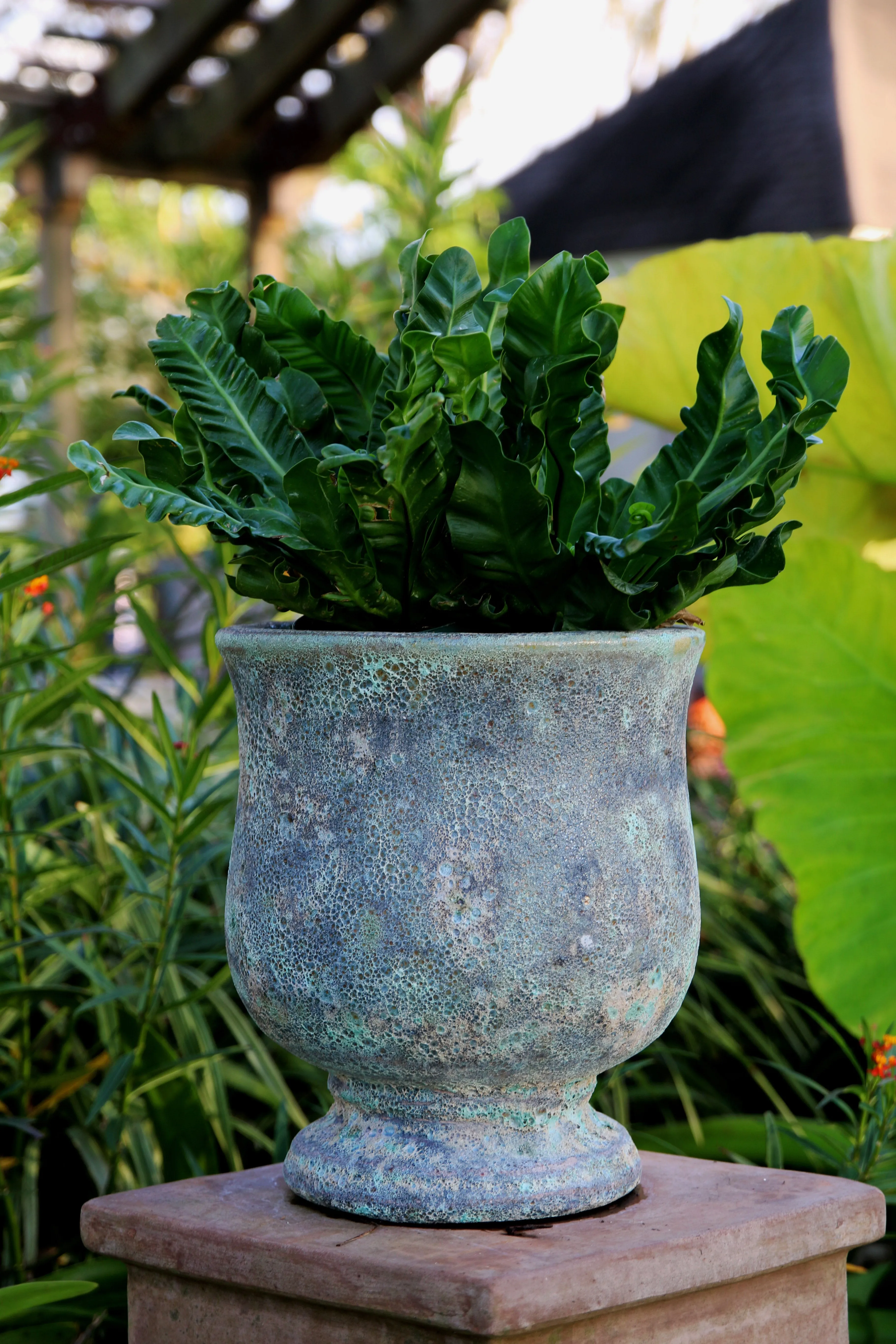 Torino Urn • Old World